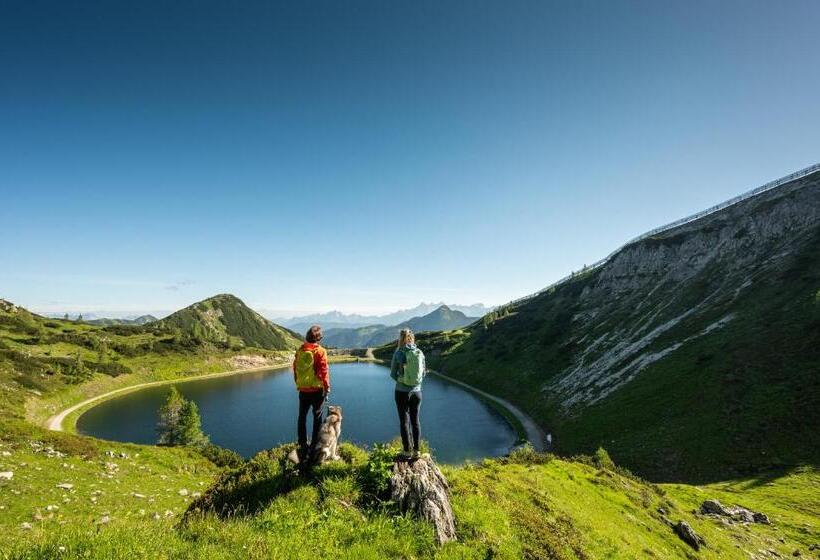 آپارتمان 1 خوابه, Lisal Appartements