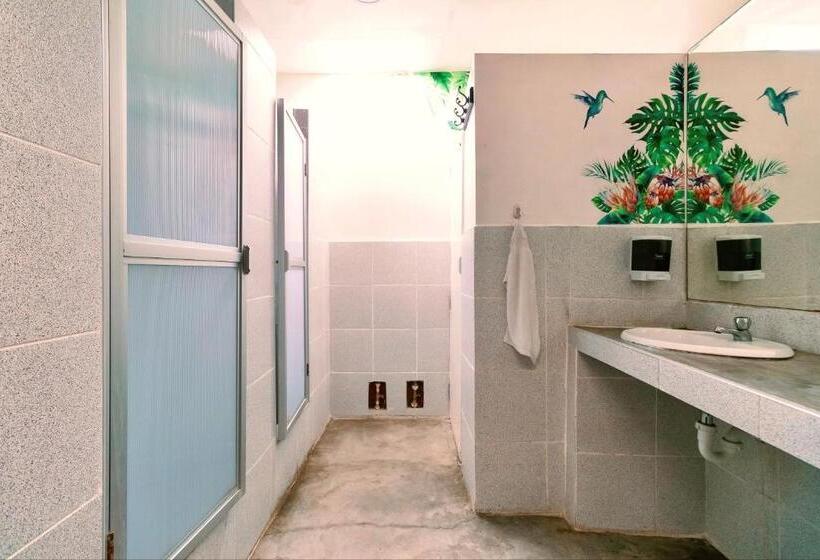 스탠다드 룸 공동 욕실, The Secret Garden Hostel