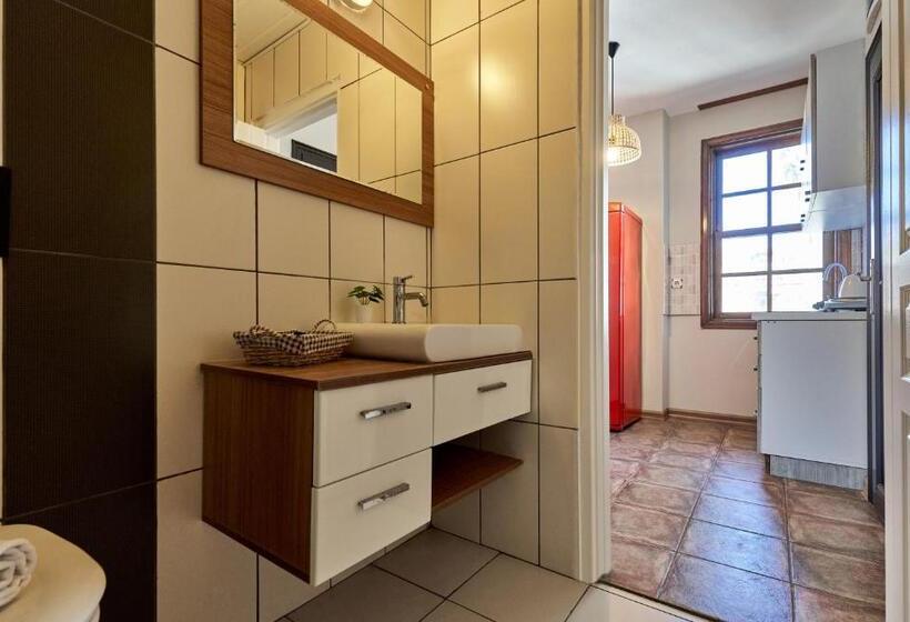 استودیو خانوادگی, Cicerone Apart