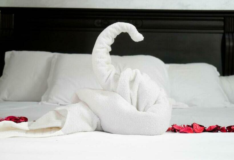 デラックススタジオ, Ayouz House