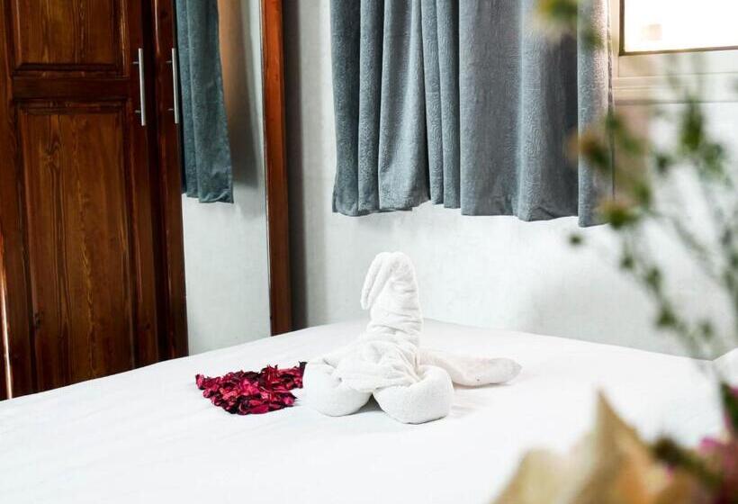 デラックスルーム, Ayouz House