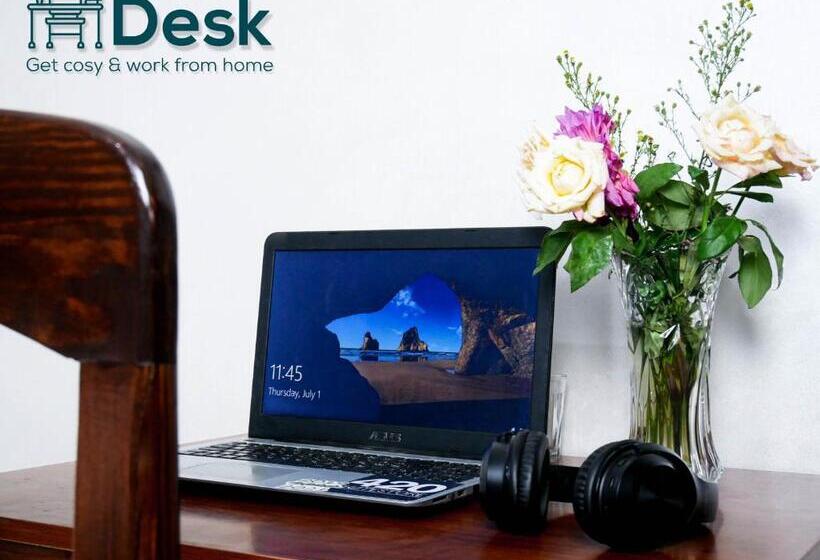 スタンダードルーム, Ayouz House