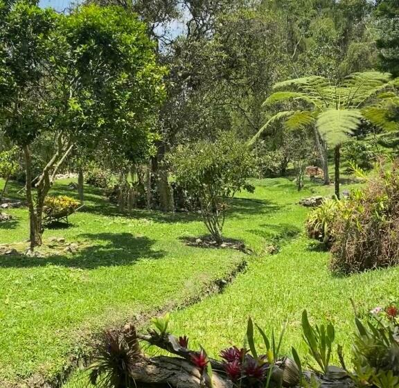 غرفة ديلوكس, Drapa Resort
