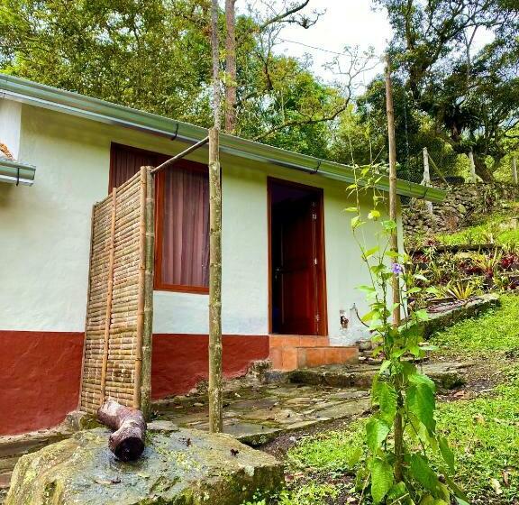 غرفة ديلوكس, Drapa Resort