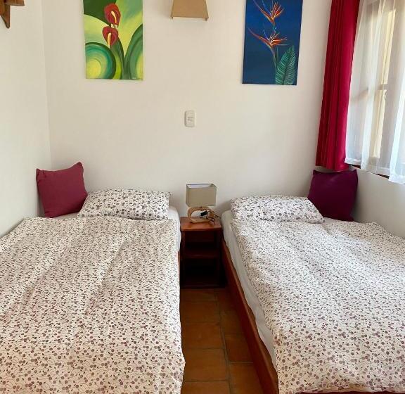 بنجلو قياسى مطلّ علي الحديقة, Drapa Resort