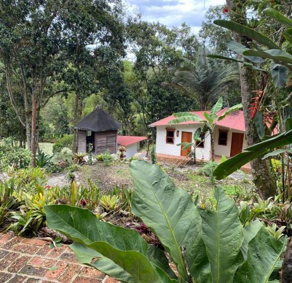 شقة غرفة واحدة, Drapa Resort