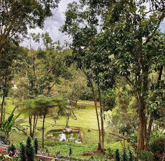 بنجلو قياسى مطلّ علي الحديقة, Drapa Resort