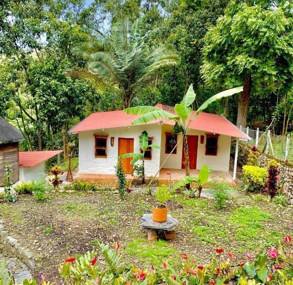 بنجلو قياسى مطلّ علي الحديقة, Drapa Resort