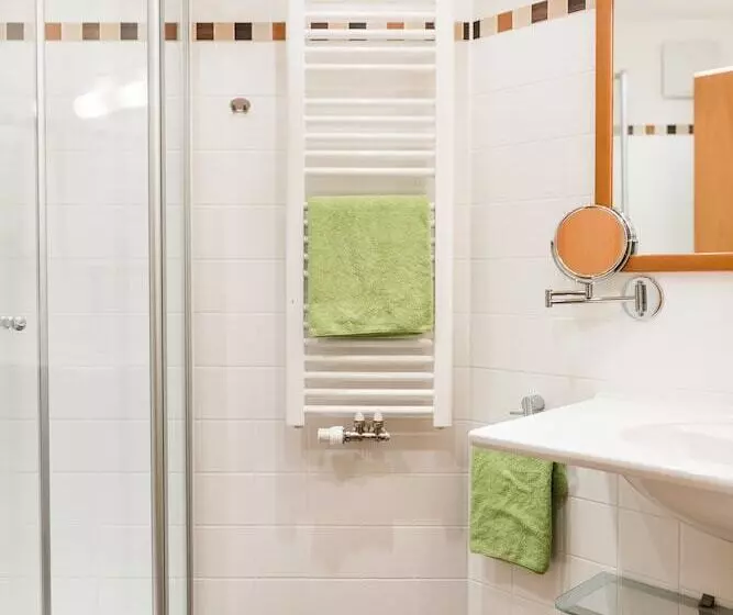 スタンダードルーム, Akzent Hotel Bayerwald Residenz