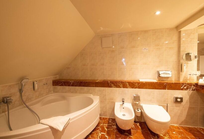 小型套房, Best Western Hotel Schlossmühle Quedlinburg
