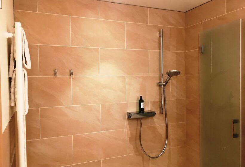 Номер Стандарт, Parkhotel Schillerhain