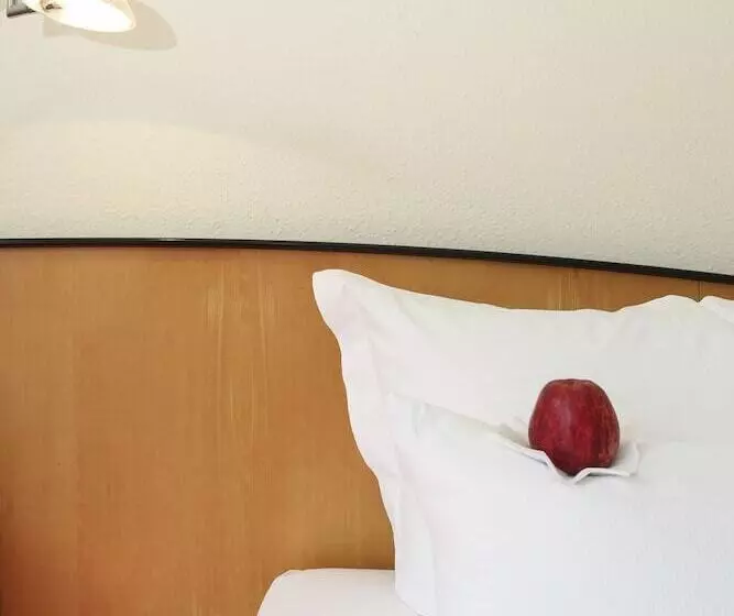 スタンダードルーム, Ringhotel Vitalhotel Ambiente