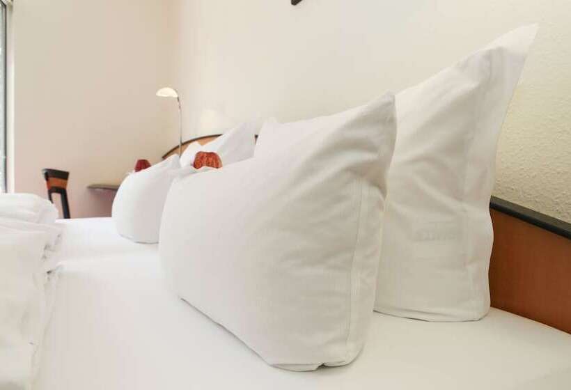 스탠다드 룸, Ringhotel Vitalhotel Ambiente