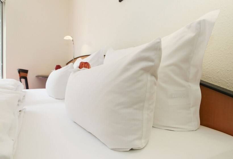 스탠다드 룸, Ringhotel Vitalhotel Ambiente