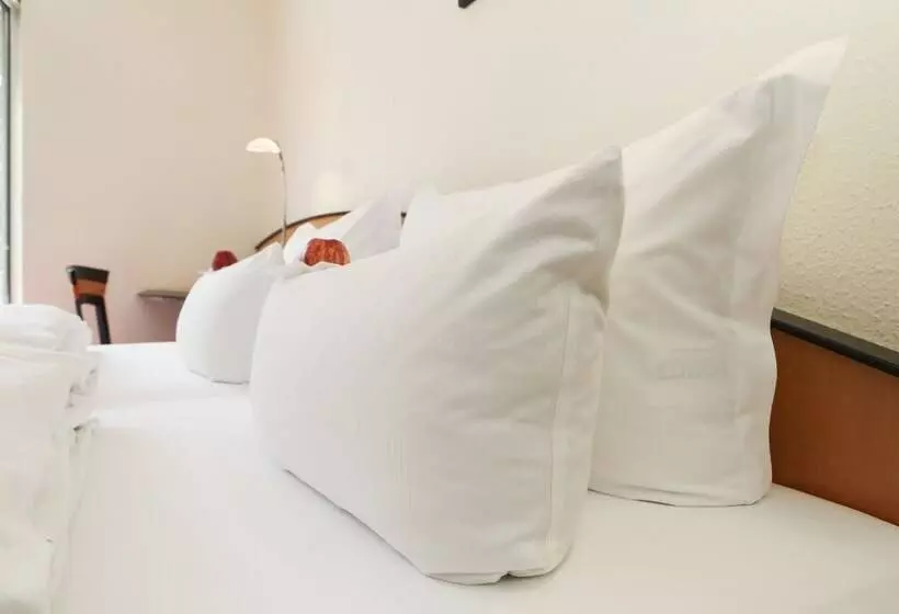 スタンダードルーム, Ringhotel Vitalhotel Ambiente