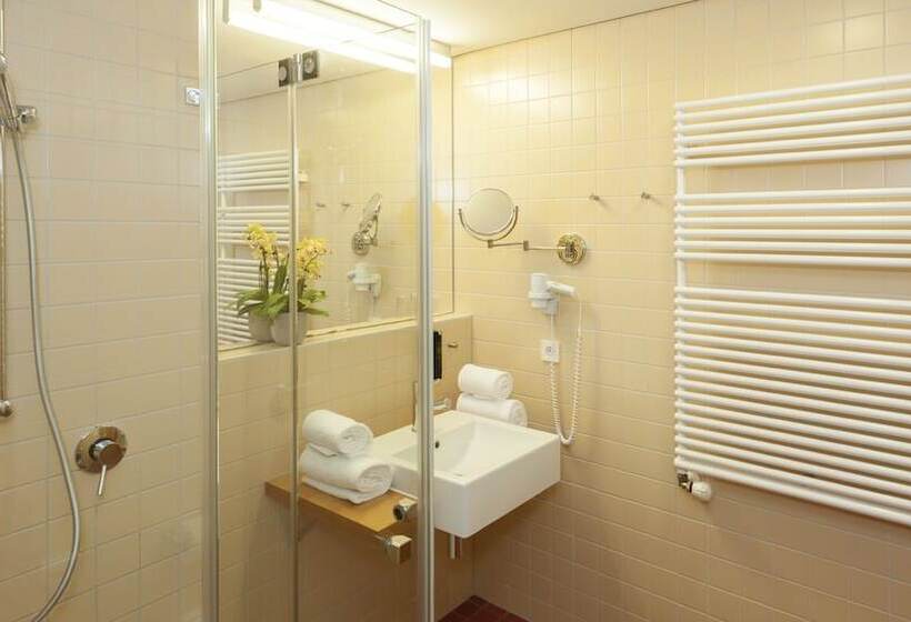 标准单人间, St Elisabeth