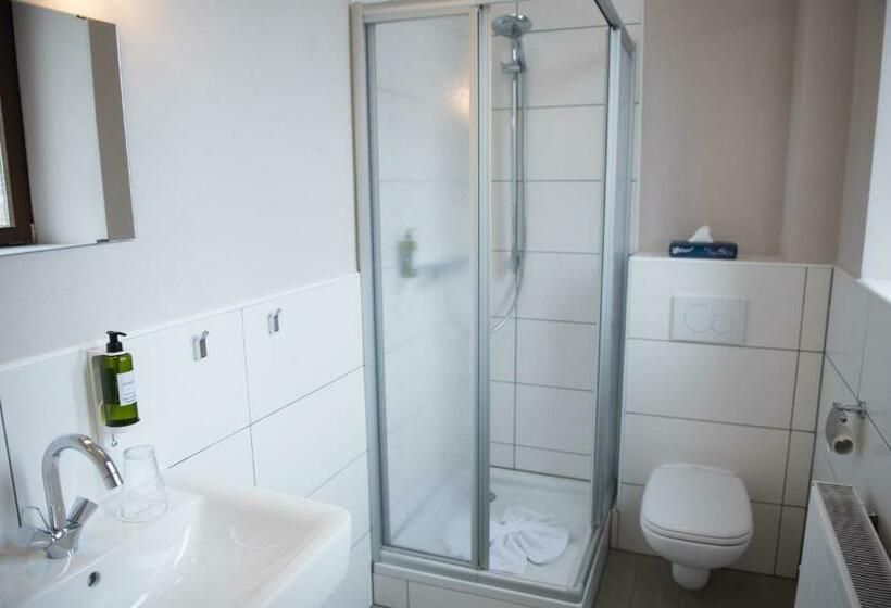 غرفة قياسية فردية, Parkhotel Schillerhain