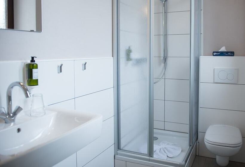 Номер Стандарт Индивидуальный, Parkhotel Schillerhain