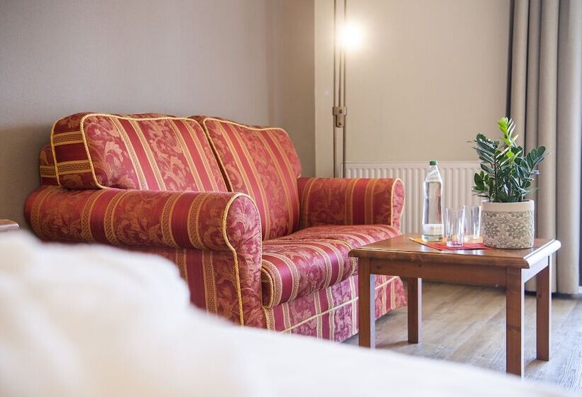 חדר סופריור עם נוף להרים, Sporthotel Radstadt