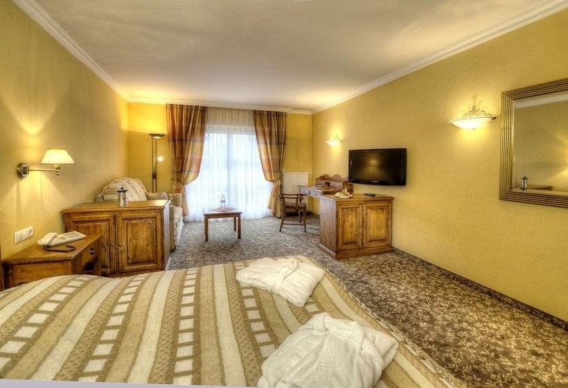 חדר סופריור עם נוף להרים, Sporthotel Radstadt