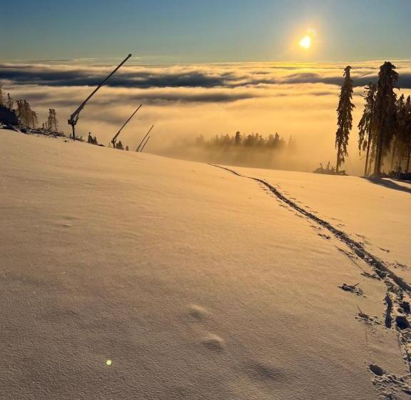 スーペリアールーム, Strandberg S Designhotel Viktoria