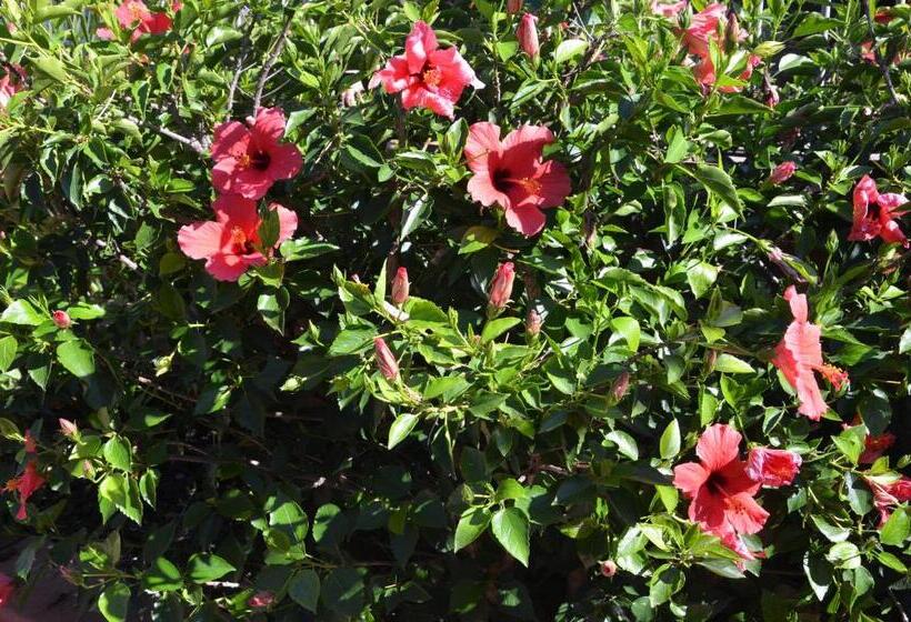 침실 3개 아파트, Arbatax Le Terrazze Sul Mare