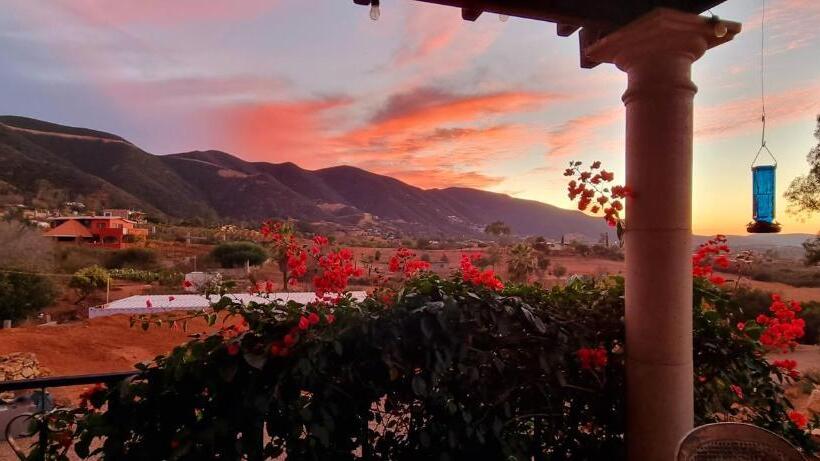 スタンダードインサイドビュールーム, Viña Calabria