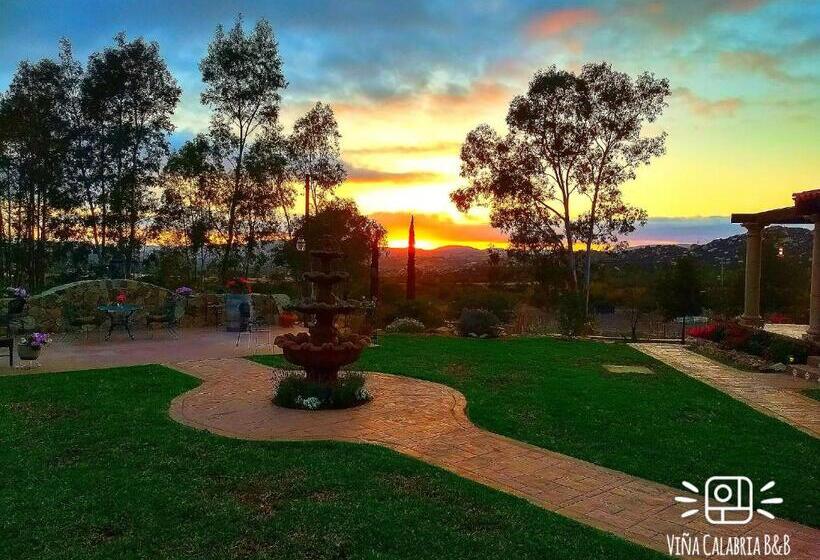 スタンダードインサイドビュールーム, Viña Calabria