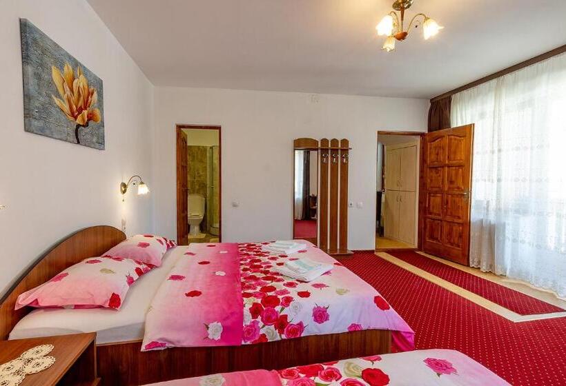 דירת חדר סופריור, Casa Steluta