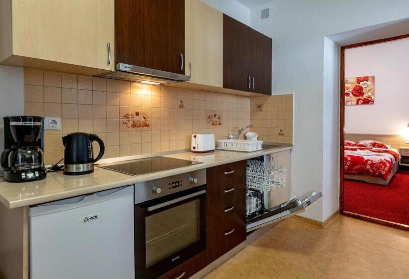 آپارتمان سوپریور 1 خوابه, Casa Steluta