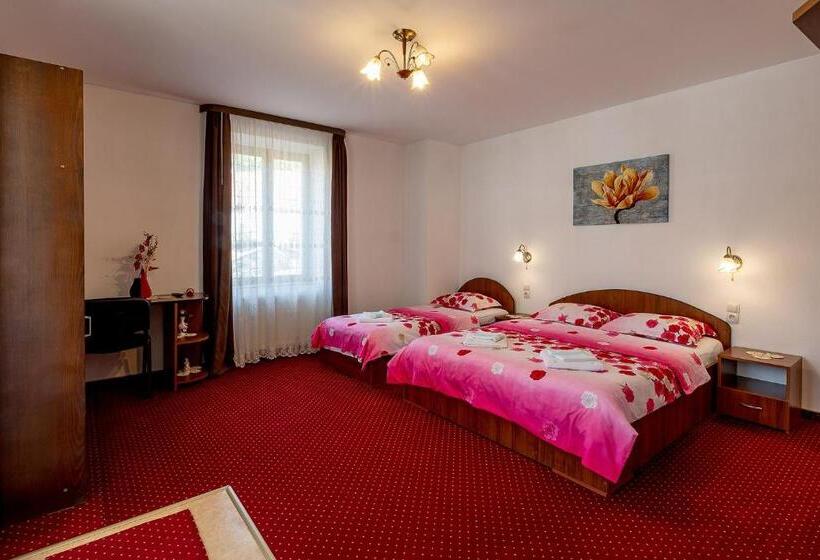 דירת חדר סופריור, Casa Steluta