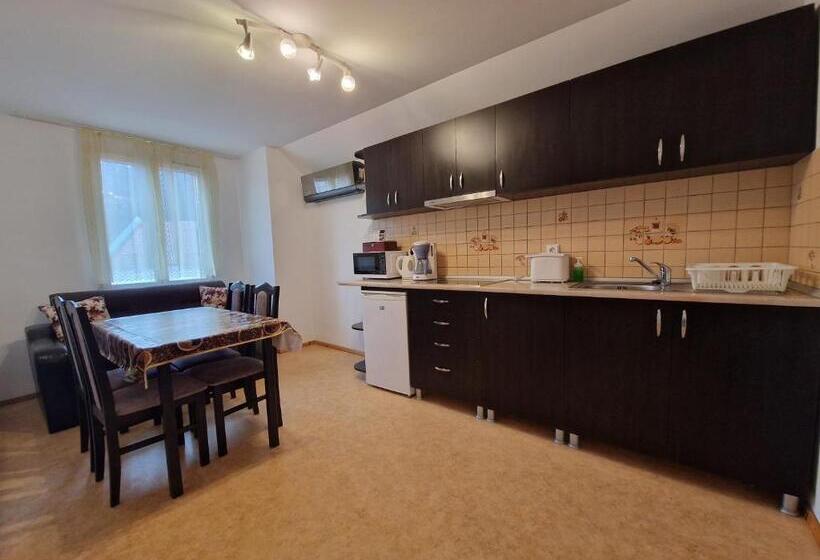 דירת שני חדרים, Casa Steluta