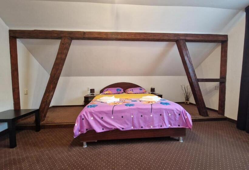 דירת שני חדרים, Casa Steluta