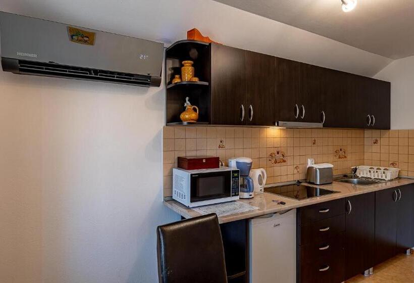 דירת שני חדרים, Casa Steluta