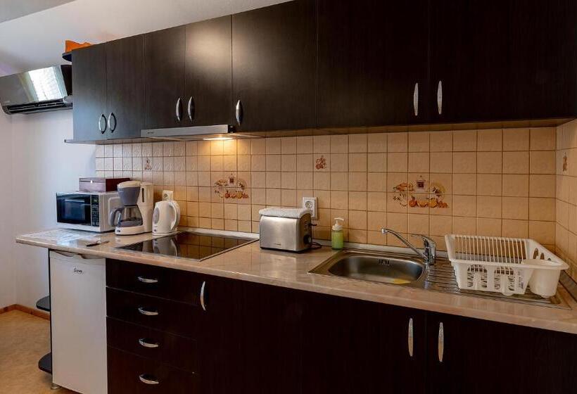 آپارتمان 2 خوابه, Casa Steluta