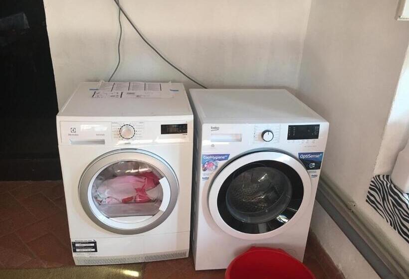 דירת חדר, Casa Steluta