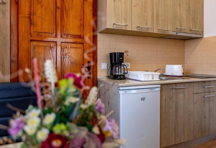 דירת חדר, Casa Steluta