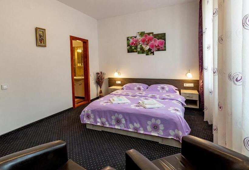 דירת חדר, Casa Steluta