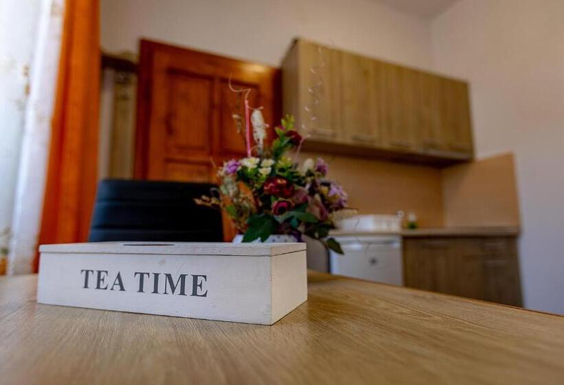 דירת חדר, Casa Steluta