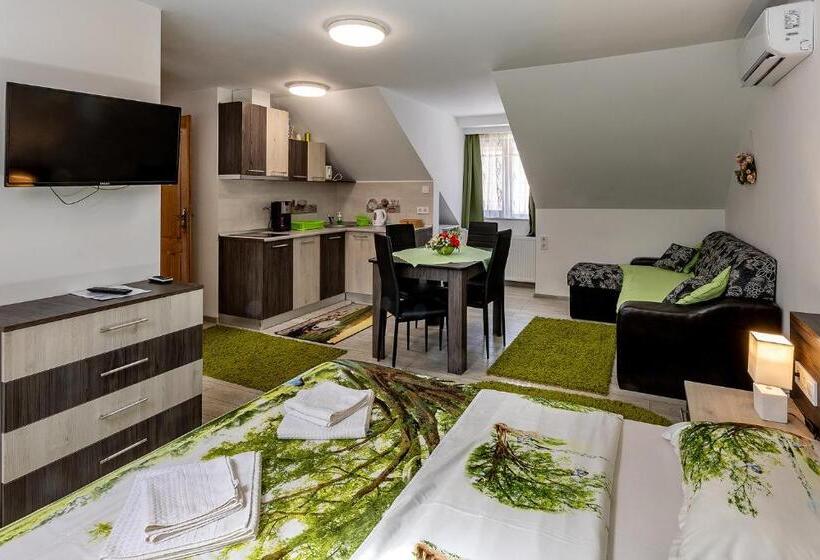 חדר סטודיו סטנדרד, Casa Steluta