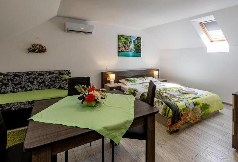 חדר סטודיו סטנדרד, Casa Steluta