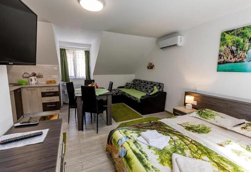 חדר סטודיו סטנדרד, Casa Steluta