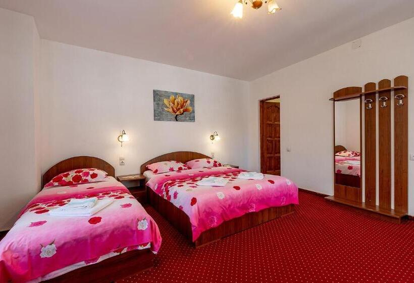 آپارتمان سوپریور 1 خوابه, Casa Steluta