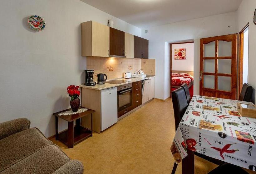 דירת חדר סופריור, Casa Steluta