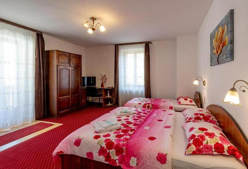 דירת חדר סופריור, Casa Steluta