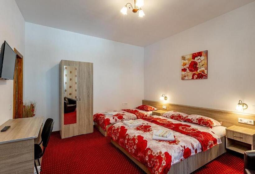 דירת חדר סופריור, Casa Steluta