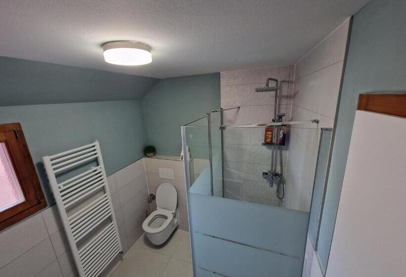 דירת שני חדרים, Casa Steluta