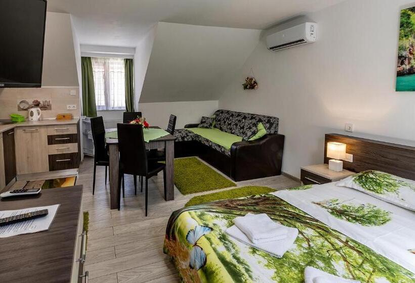 חדר סטודיו סטנדרד, Casa Steluta