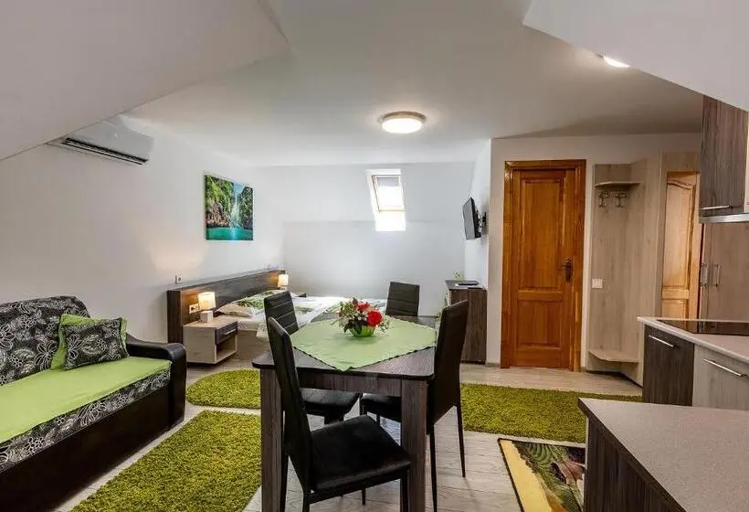 استودیوی استاندارد, Casa Steluta