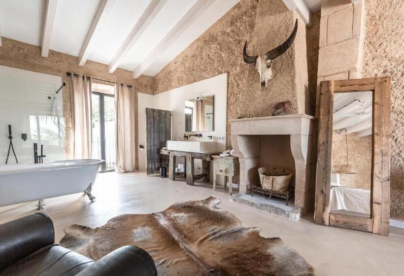 带露台的小型套房, Can Sull